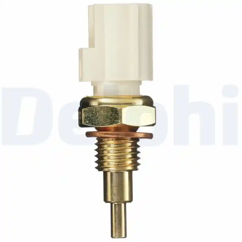 DELPHI TS10289 DELPHI TS10289
