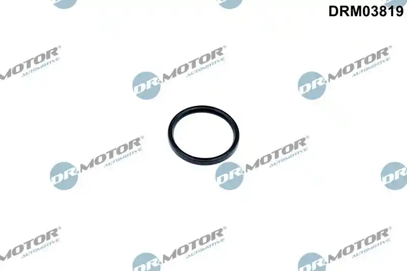 Dr.Motor Automotive DRM03819