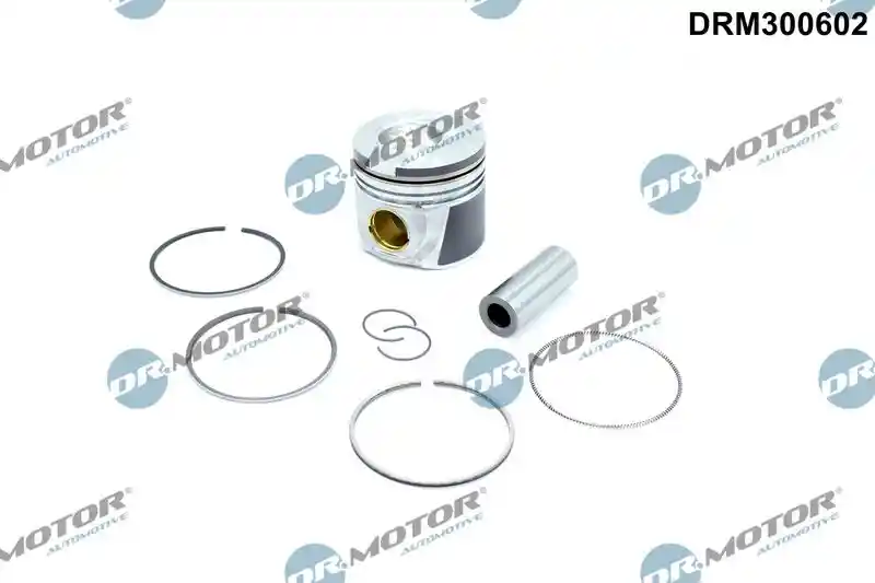 Dr.Motor Automotive DRM300602 Dr.Motor Automotive DRM300602