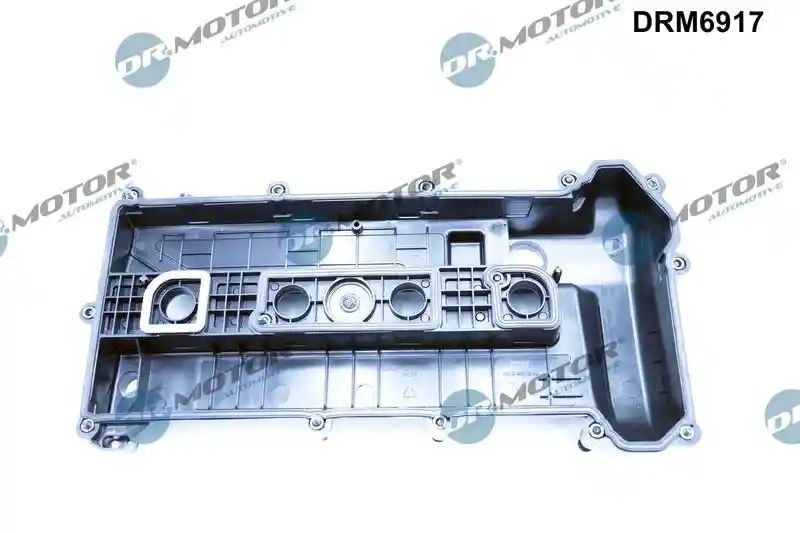 Dr.Motor Automotive DRM6917