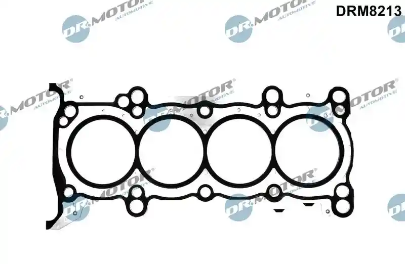 Dr.Motor Automotive DRM8213