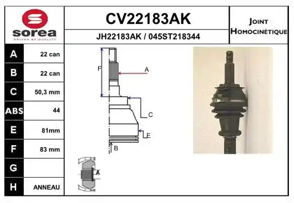 EAI CV22183AK