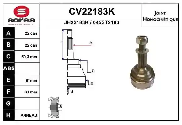 EAI CV22183K
