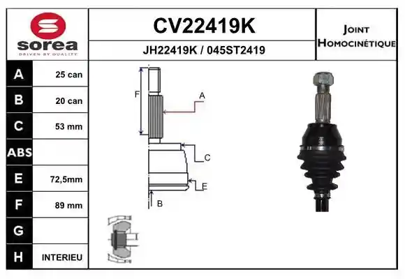 EAI CV22419K