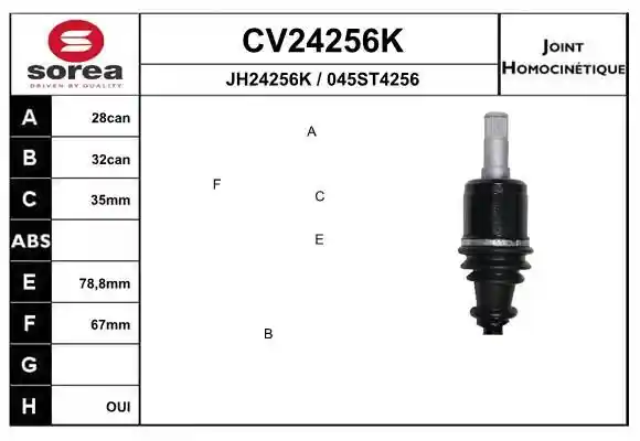 EAI CV24256K EAI CV24256K