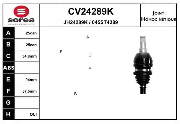 EAI CV24289K