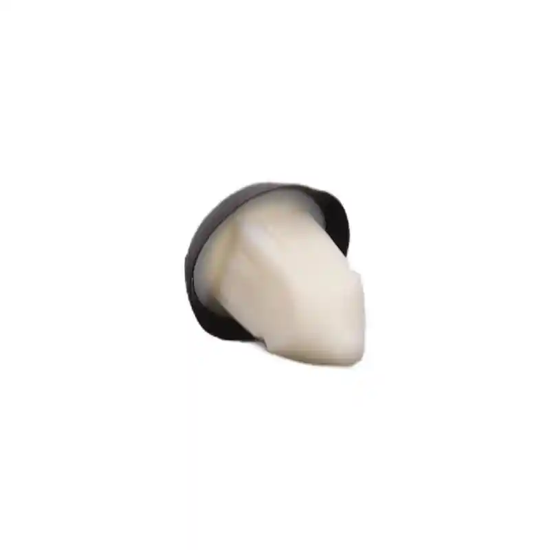 Einparts Automotive EPCRC1381