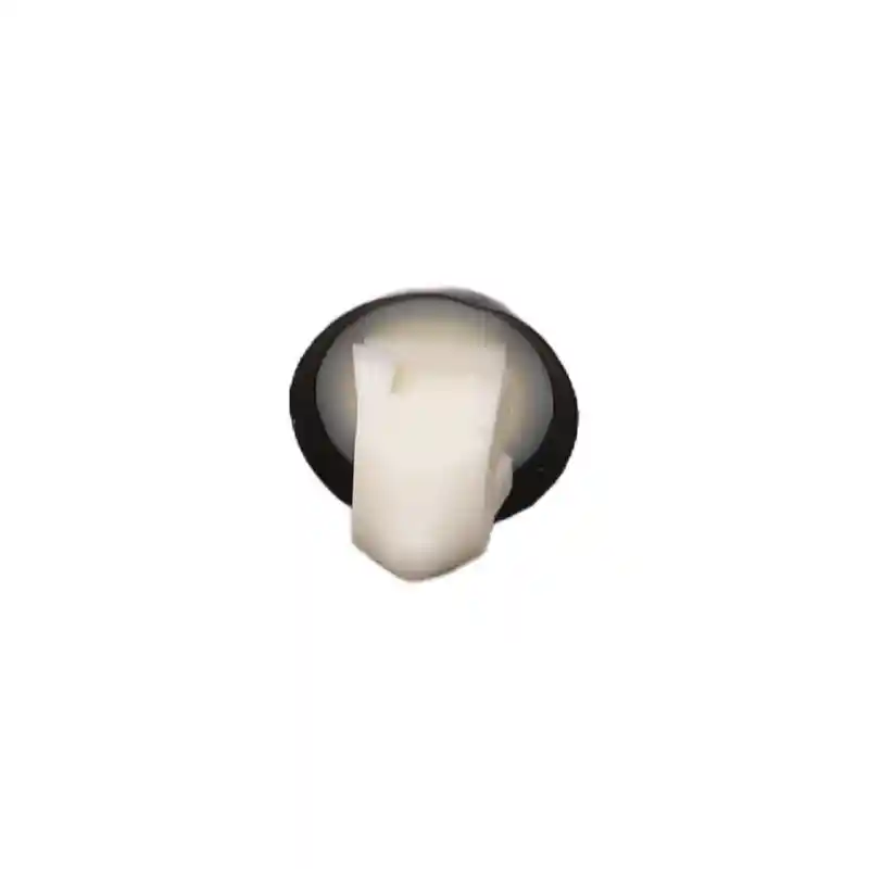 Einparts Automotive EPCRC1381