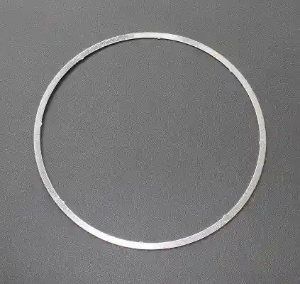 ELRING 024.481