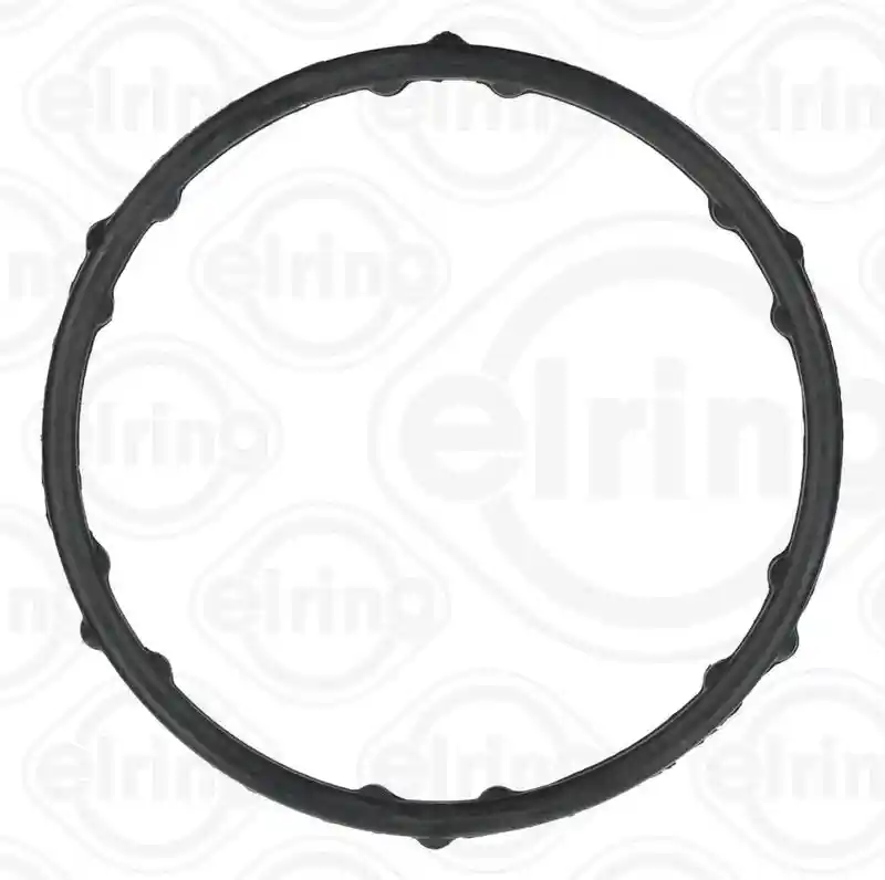 ELRING 248.250