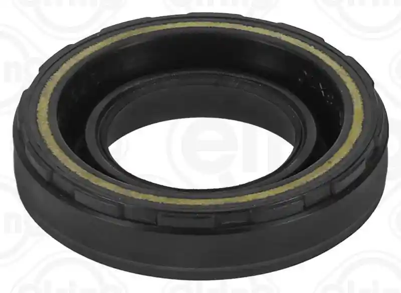 ELRING 389.300