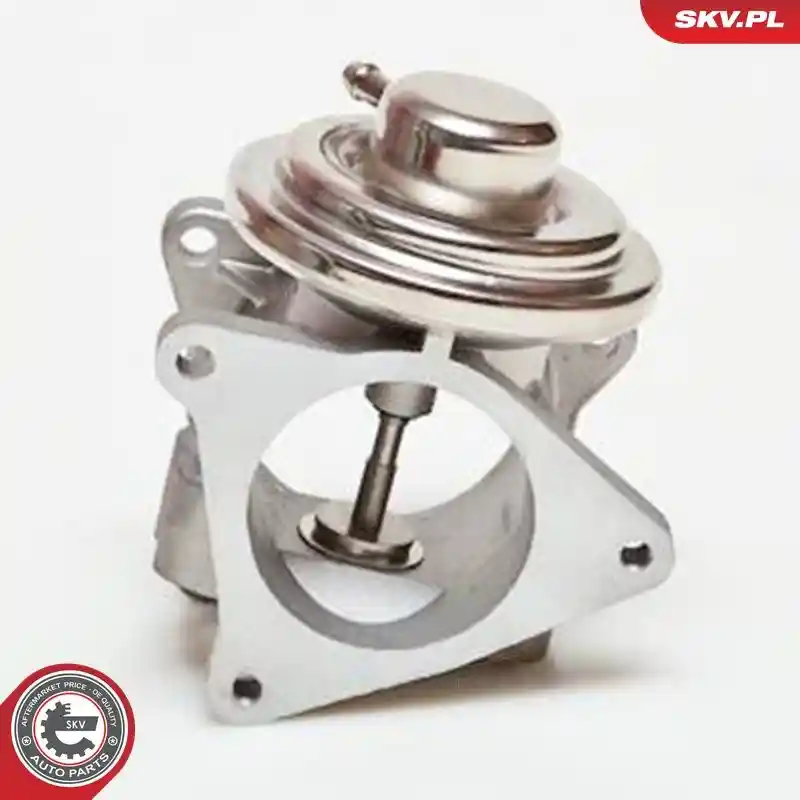 ERA 555060A