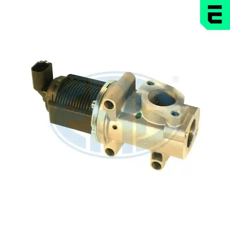 ERA 555061