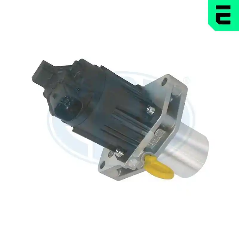 ERA 555355