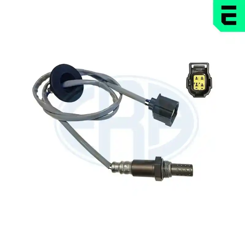 ERA 570317A