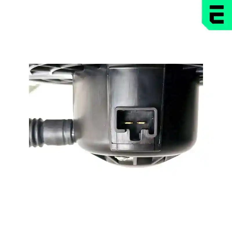 ERA 664199