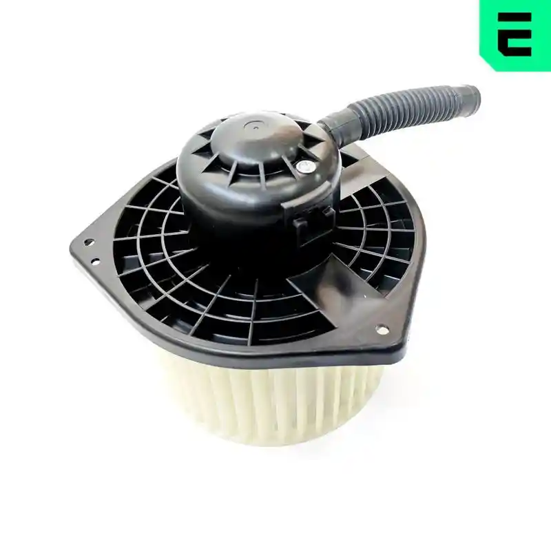 ERA 664199