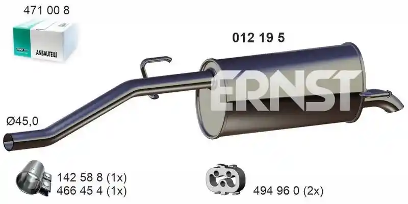 ERNST 012195