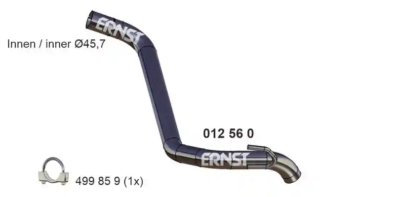ERNST 012560