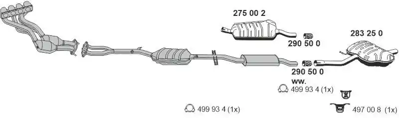 ERNST 020248