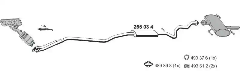 ERNST 020606