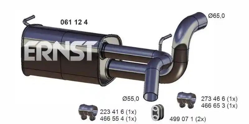 ERNST 061124