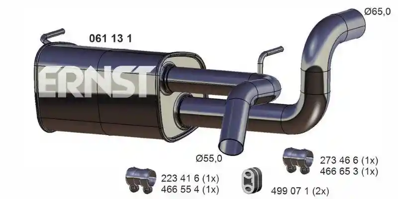 ERNST 061131