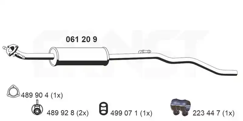 ERNST 061209