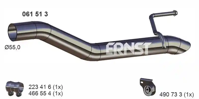 ERNST 061513