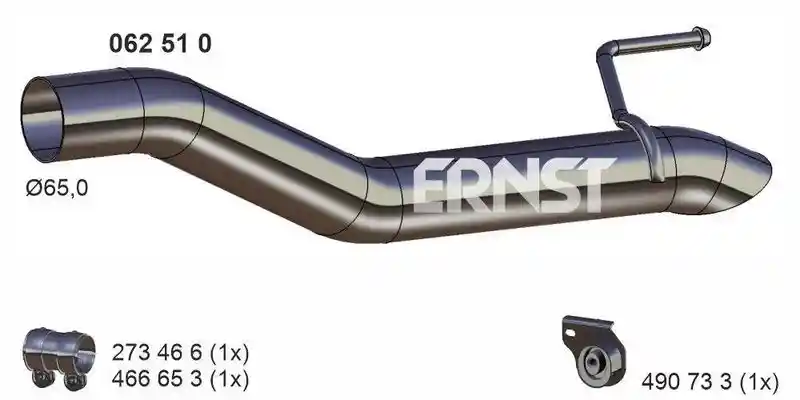 ERNST 062510
