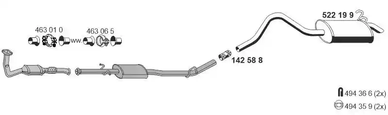 ERNST 100155