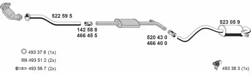 ERNST 100252