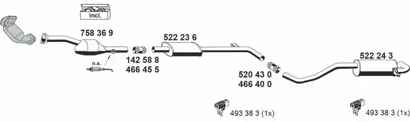 ERNST 100320