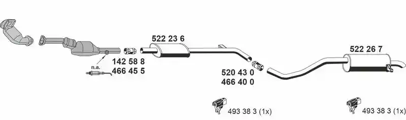 ERNST 100452