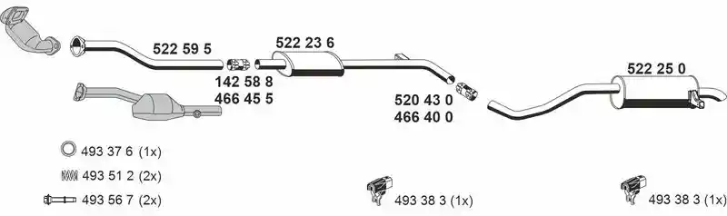 ERNST 100456