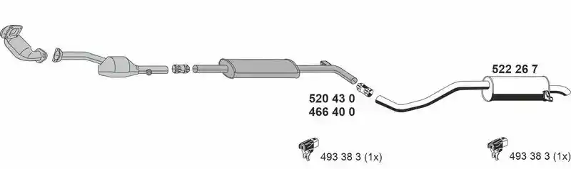 ERNST 100462