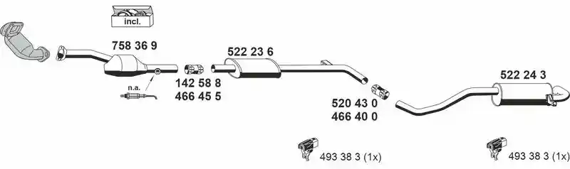 ERNST 100463