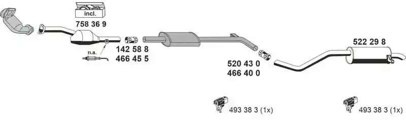 ERNST 100471