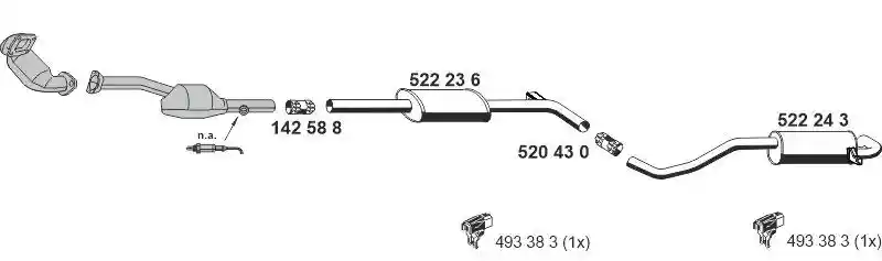 ERNST 100557