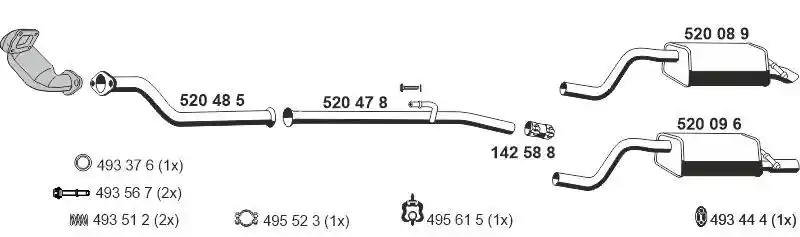 ERNST 100566