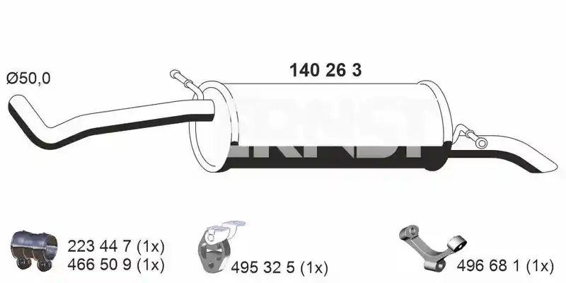 ERNST 140263
