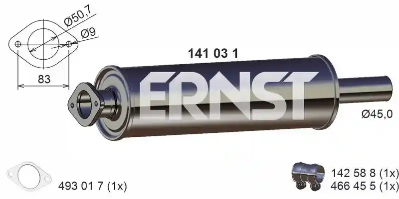 ERNST 141031