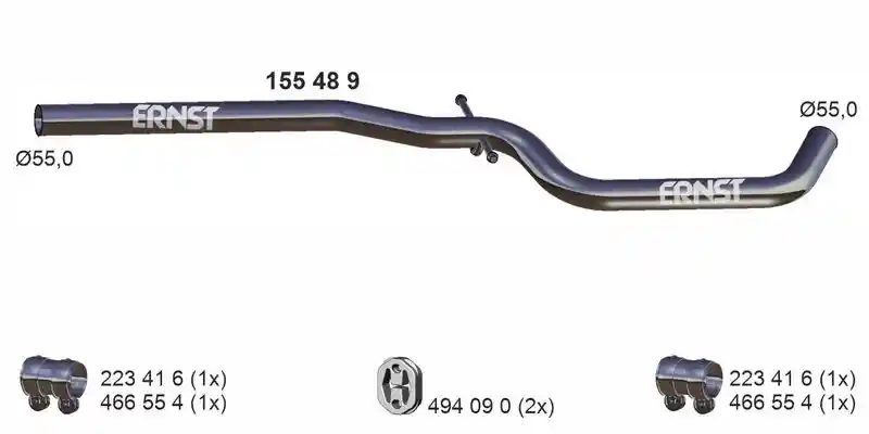 ERNST 155489