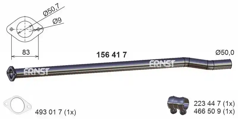 ERNST 156417