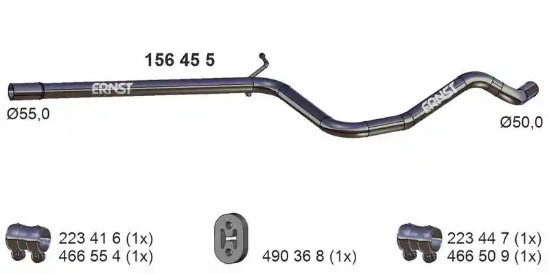 ERNST 156455