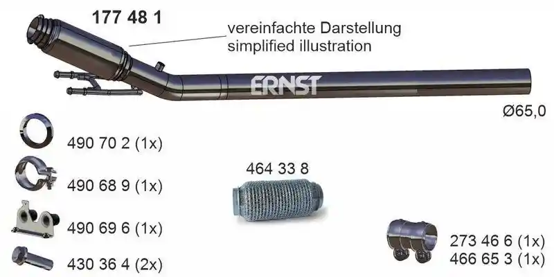 ERNST 177481