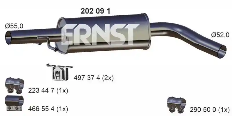 ERNST 202091