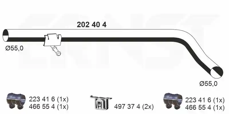 ERNST 202404