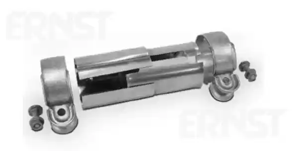 ERNST 202428