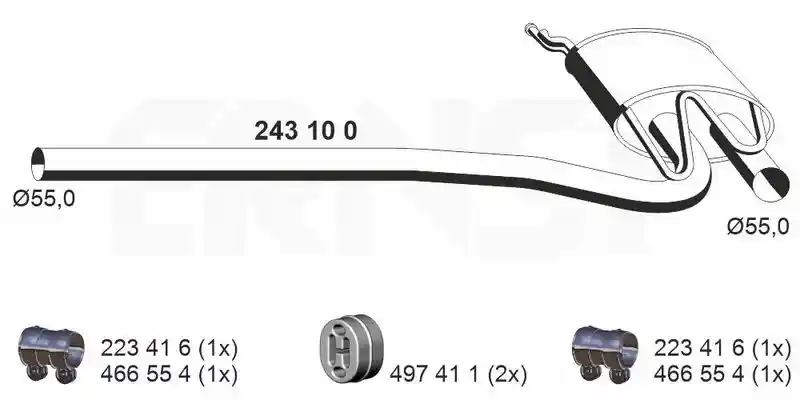 ERNST 243100